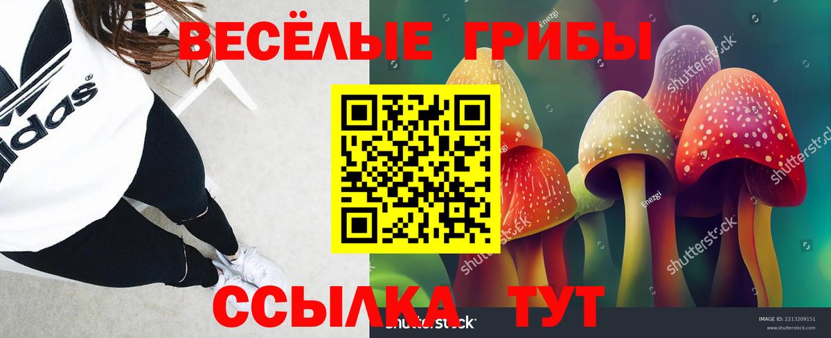 Псилоцибиновые грибы ЛСД Тында