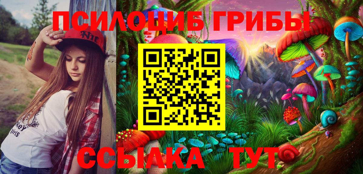 Псилоцибиновые грибы MAGIC MUSHROOMS  Вход с VPN  Тында 